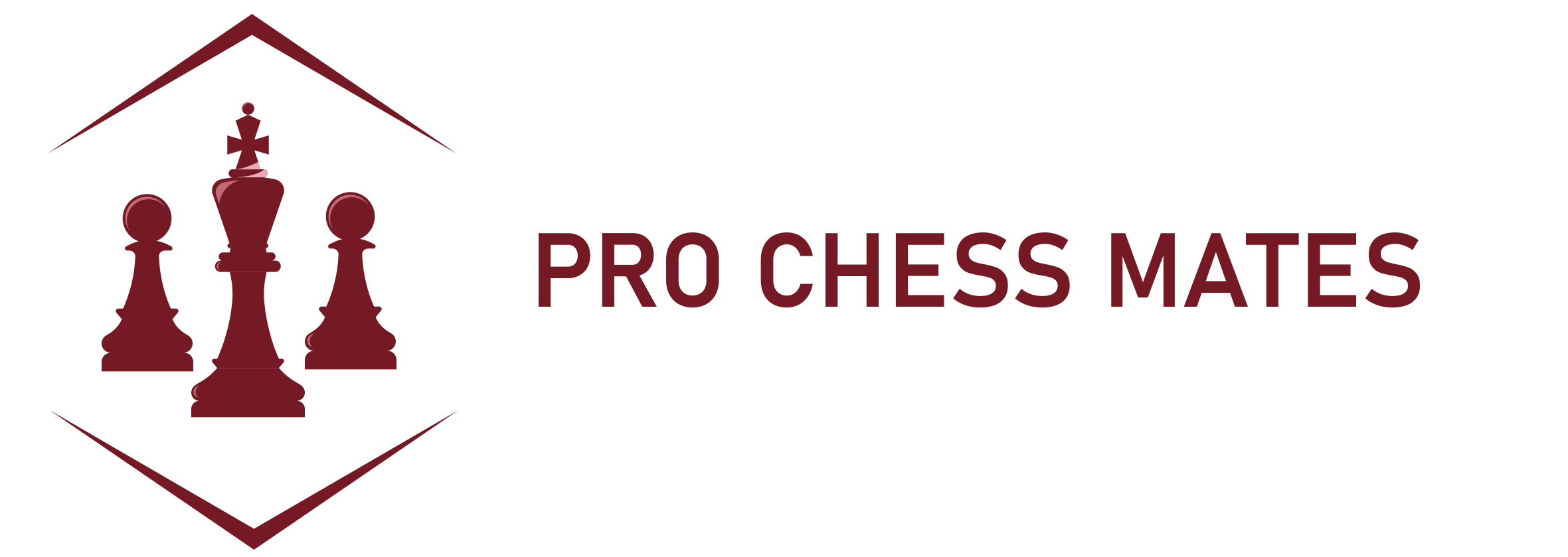 ProChess Training